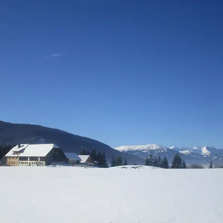 Bauernhof Planitzerhof *