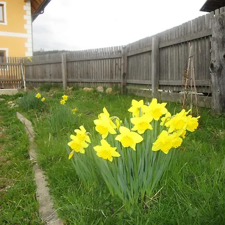 Planitzerhof Tamsweg