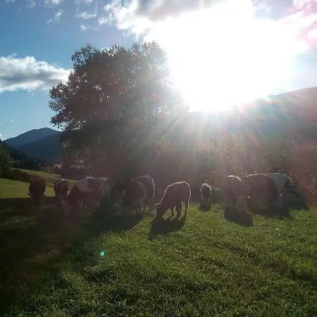 Farm stay Planitzerhof *