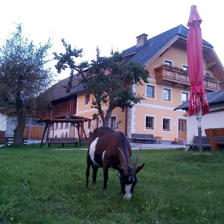 Farm stay Planitzerhof *