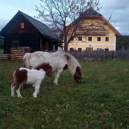 Planitzerhof *